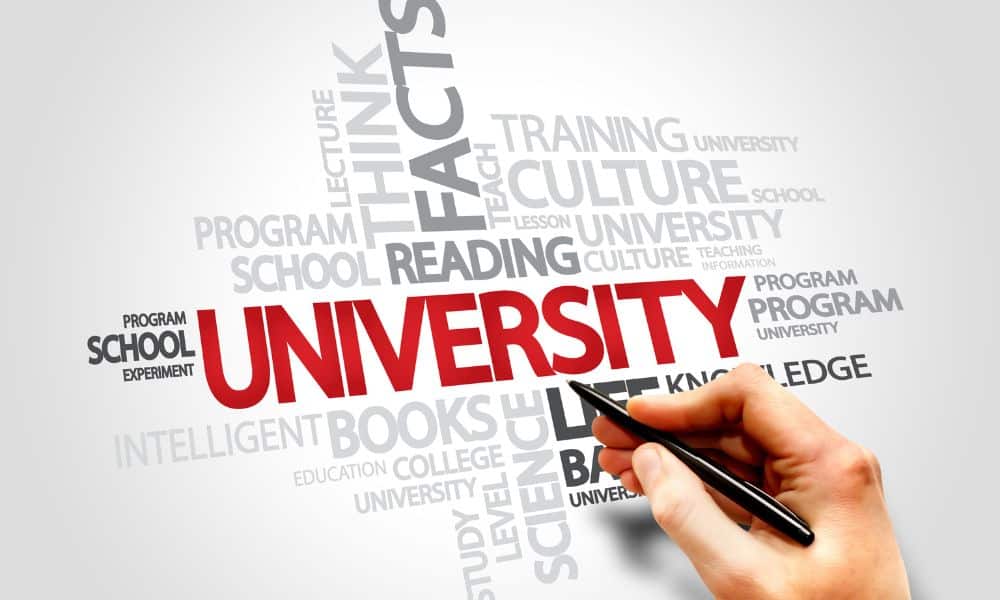 universities in Izmir